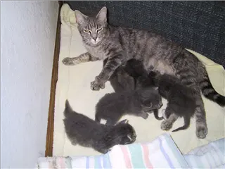 small_000514 brian confirmationIMG_4230.webp